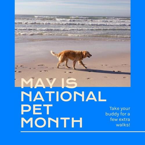 Design Wizard editable template - Templates/international Dates/national Pet Month/